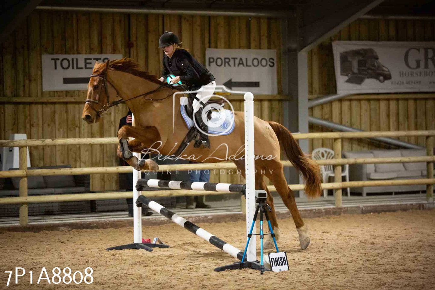 Home Farm Jumping 14th January 2024 - Seniors