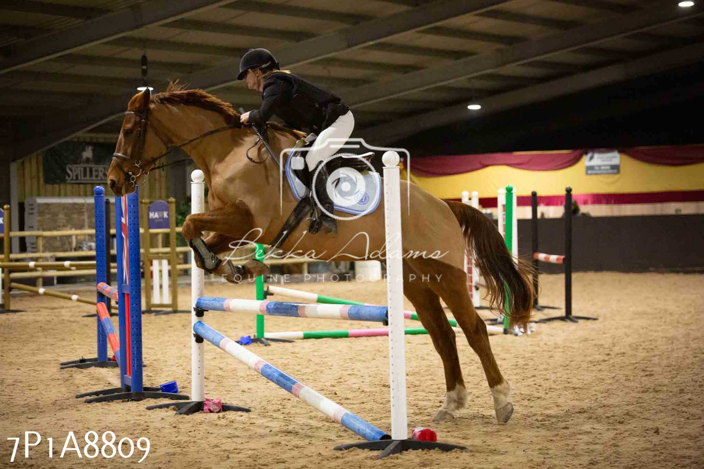 Home Farm Jumping 14th January 2024 - Seniors