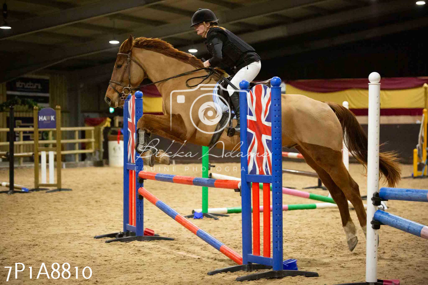 Home Farm Jumping 14th January  2024 - Seniors
