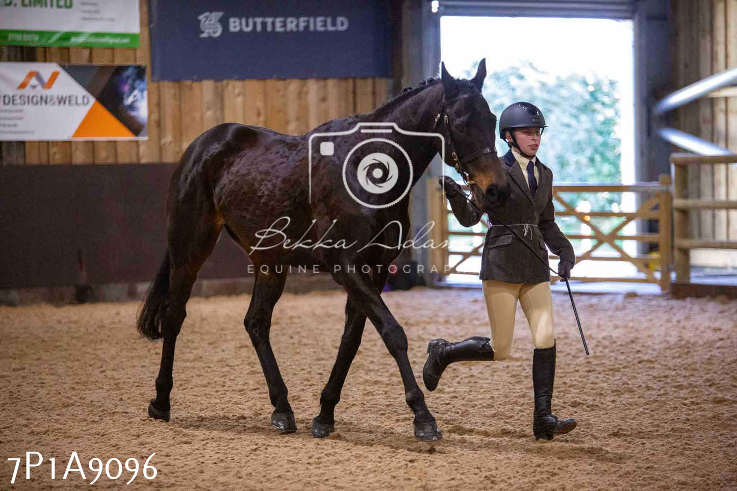 Home Farm Spring Show - Inhand Showing 23rd March 2024 - Part 1