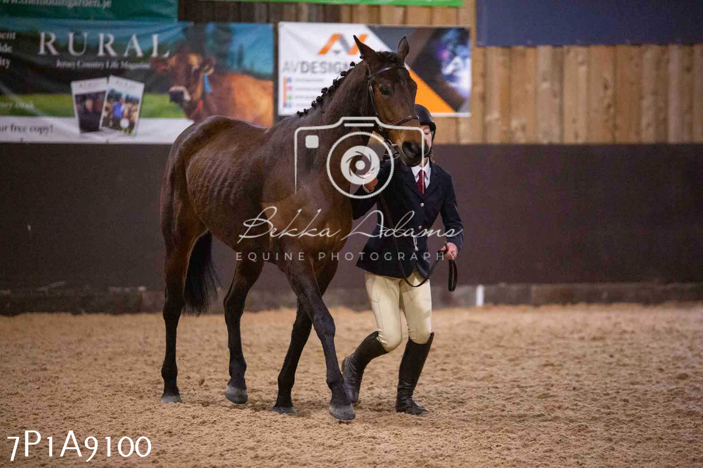 Home Farm Spring Show - Inhand Showing 23rd March 2024 - Part 1