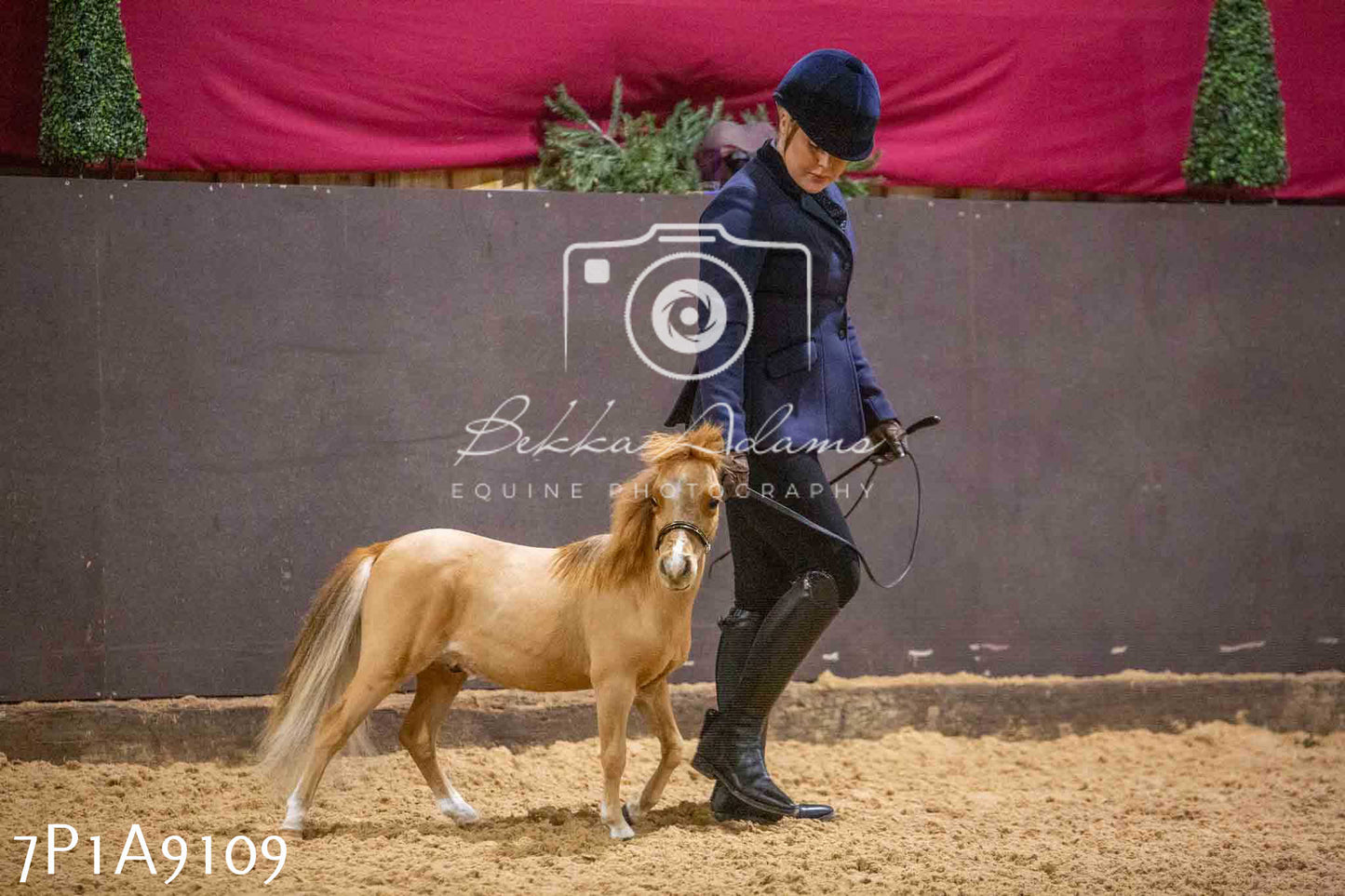 Home Farm Spring Show - Inhand Showing 23rd March 2024 - Part 1