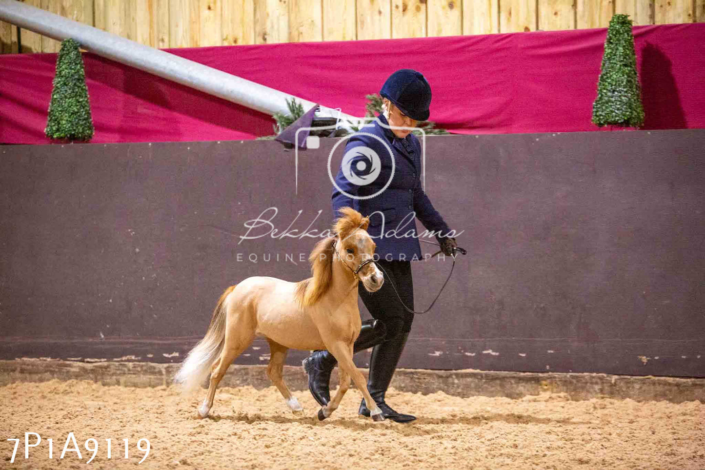 Home Farm Spring Show - Inhand Showing 23rd March 2024 - Part 1
