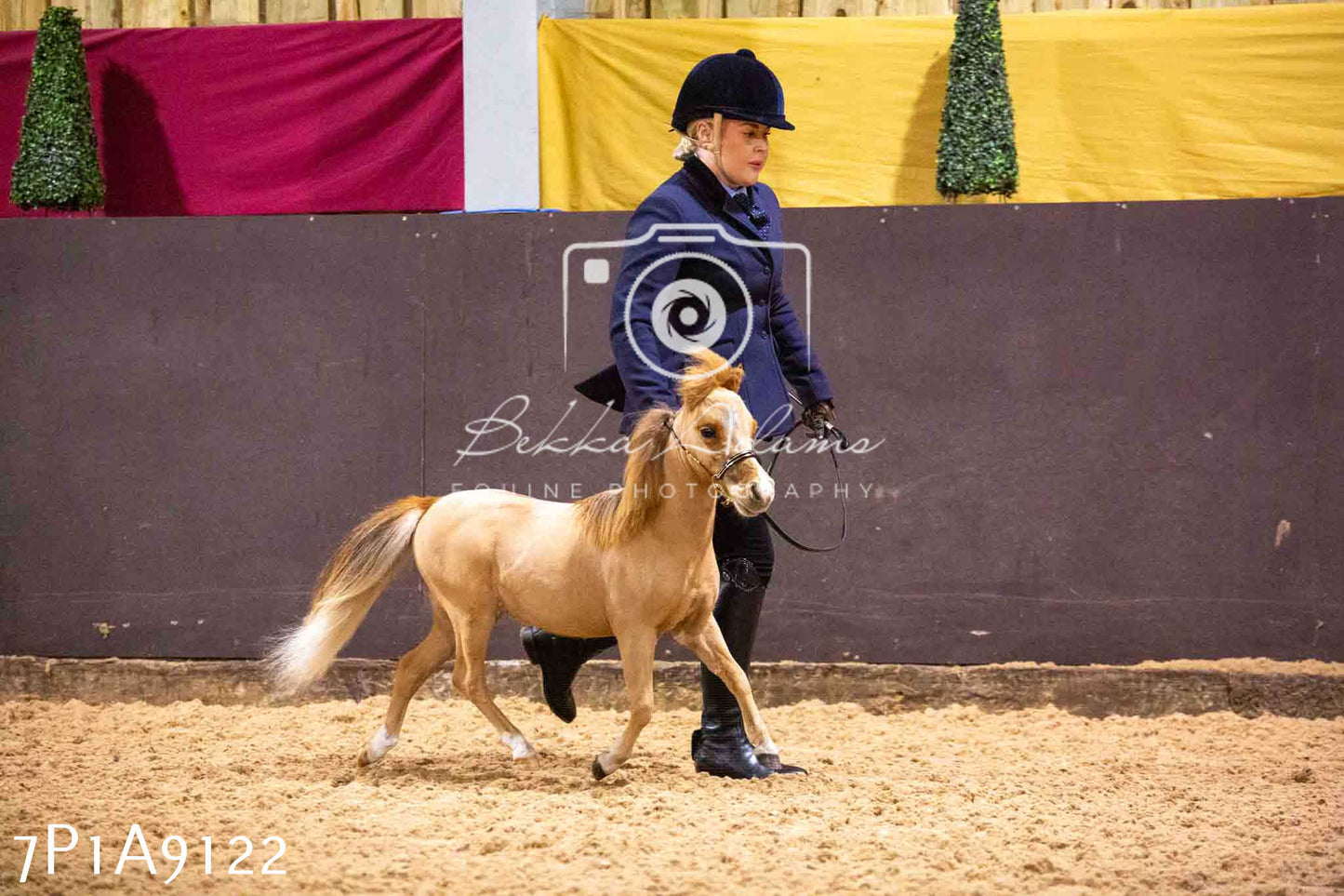 Home Farm Spring Show - Inhand Showing 23rd March 2024 - Part 1