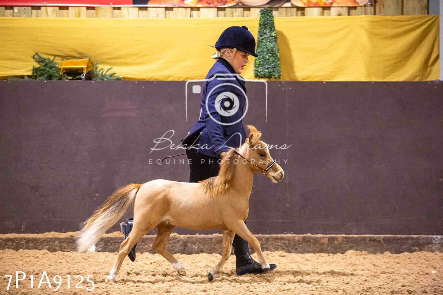 Home Farm Spring Show - Inhand Showing 23rd March 2024 - Part 1