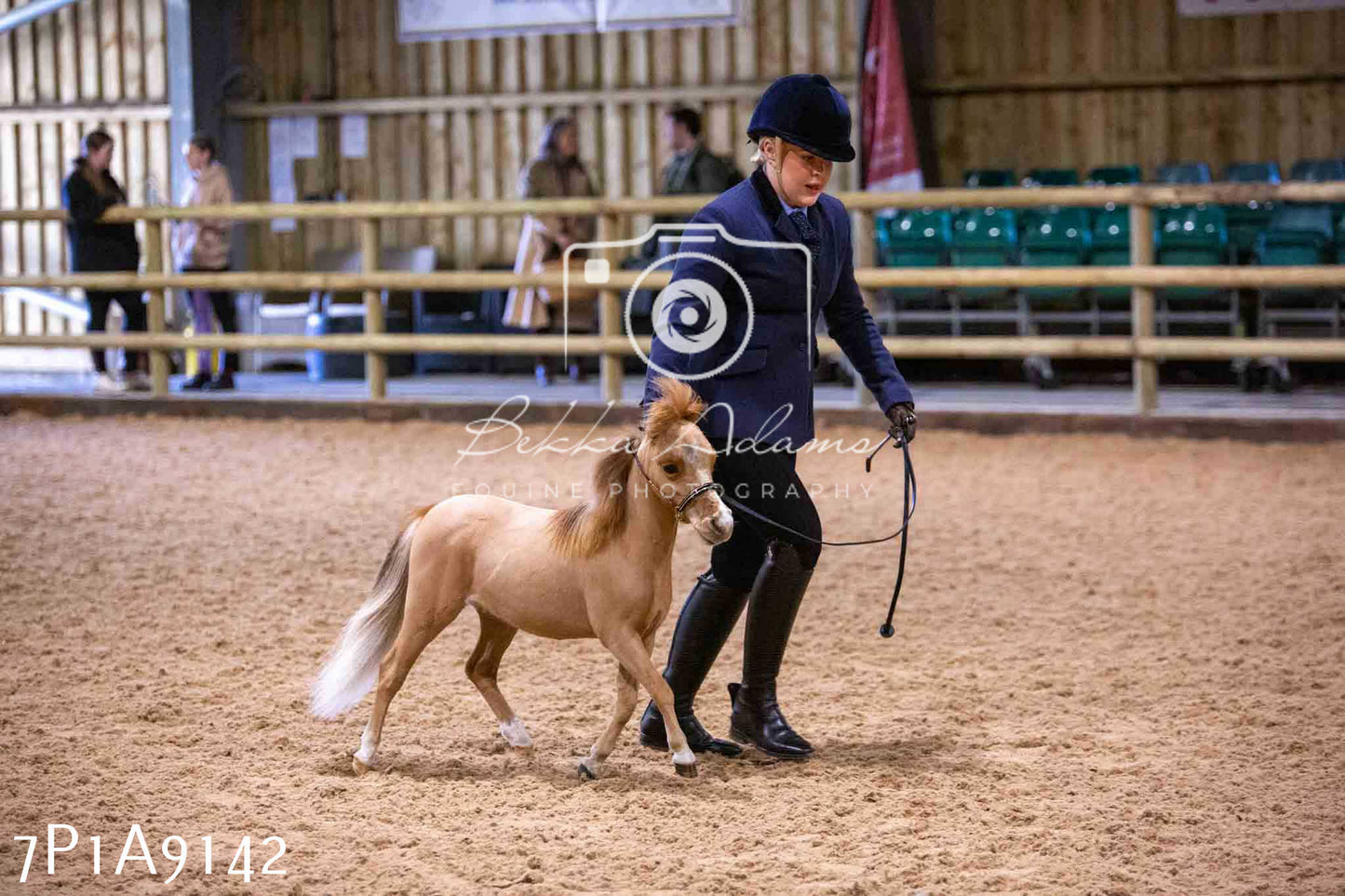 Home Farm Spring Show - Inhand Showing 23rd March 2024 - Part 1