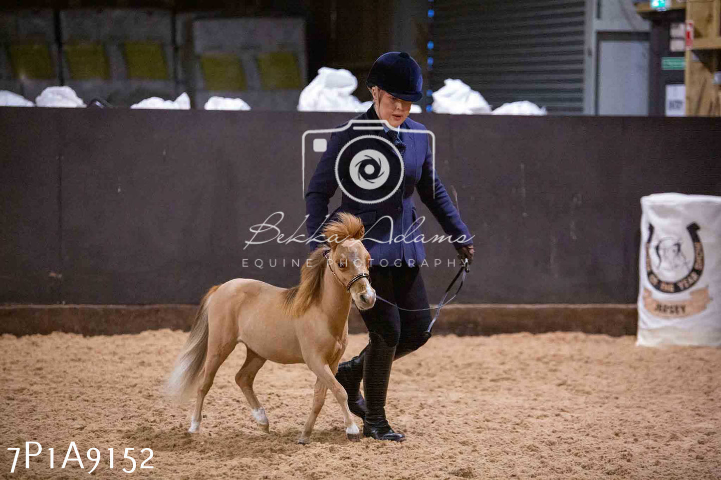 Home Farm Spring Show - Inhand Showing 23rd March 2024 - Part 1