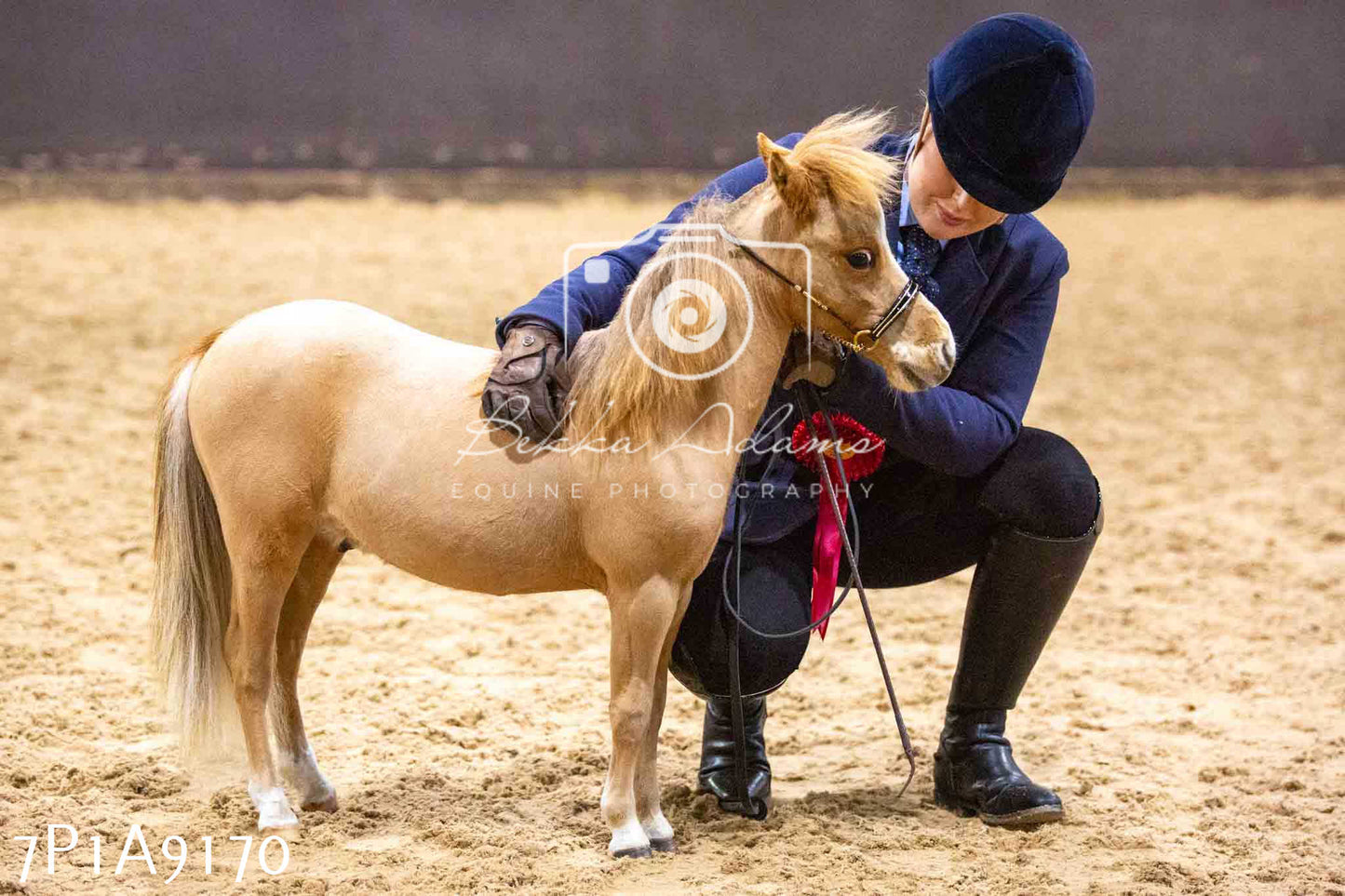 Home Farm Spring Show - Inhand Showing 23rd March 2024 - Part 1