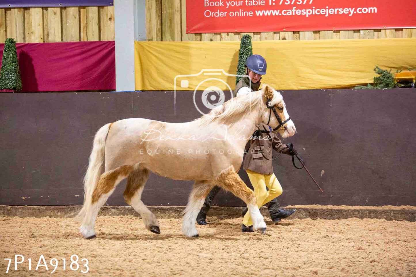 Home Farm Spring Show - Inhand Showing 23rd March 2024 - Part 1