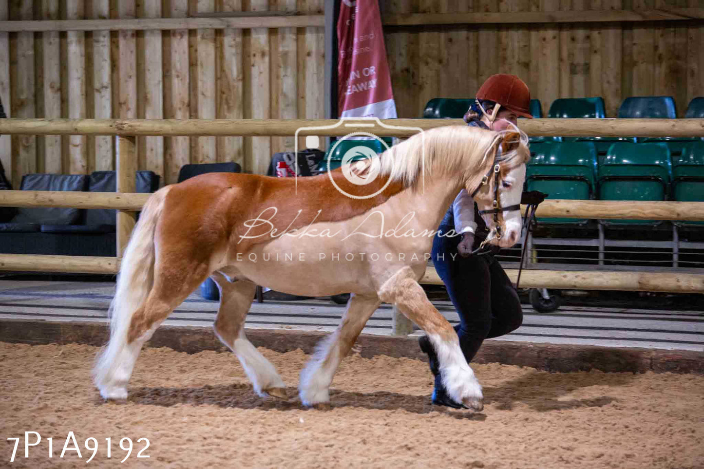 Home Farm Spring Show - Inhand Showing 23rd March 2024 - Part 1