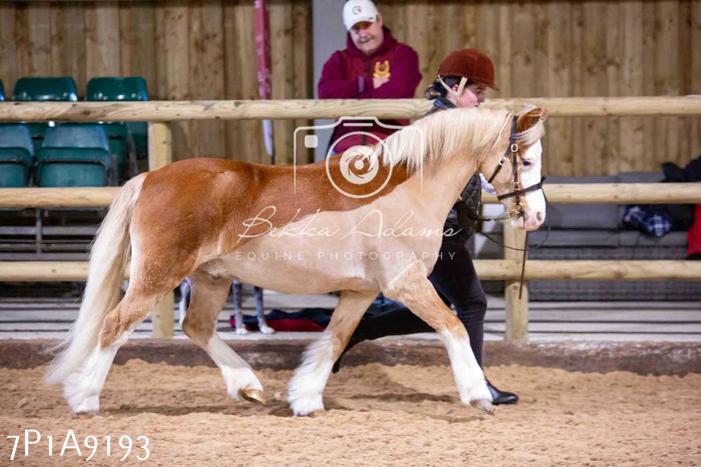 Home Farm Spring Show - Inhand Showing 23rd March 2024 - Part 1