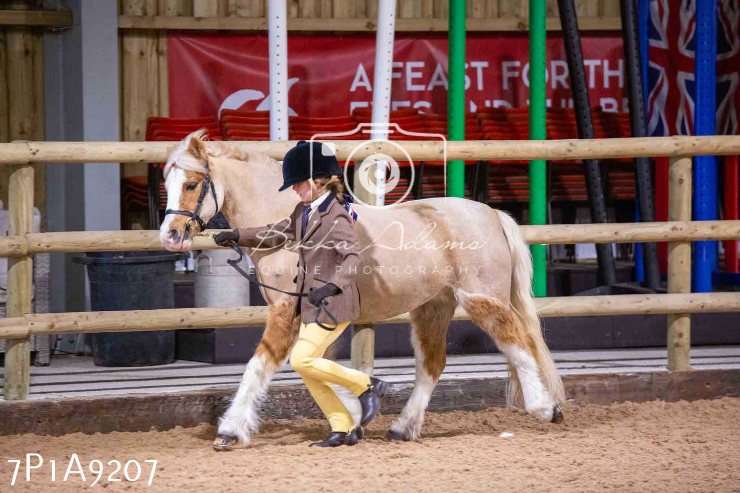 Home Farm Spring Show - Inhand Showing 23rd March 2024 - Part 1