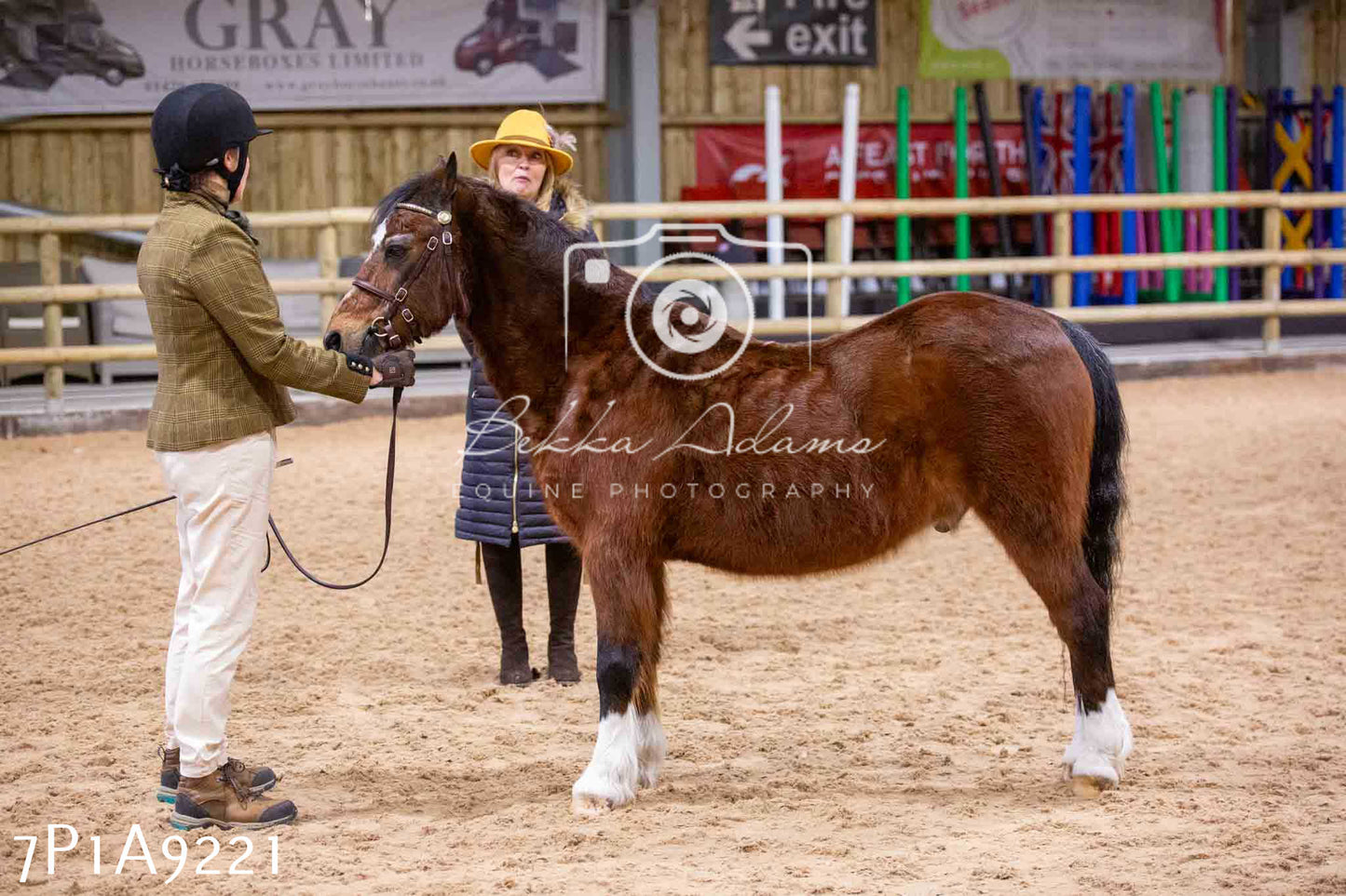Home Farm Spring Show - Inhand Showing 23rd March 2024 - Part 1