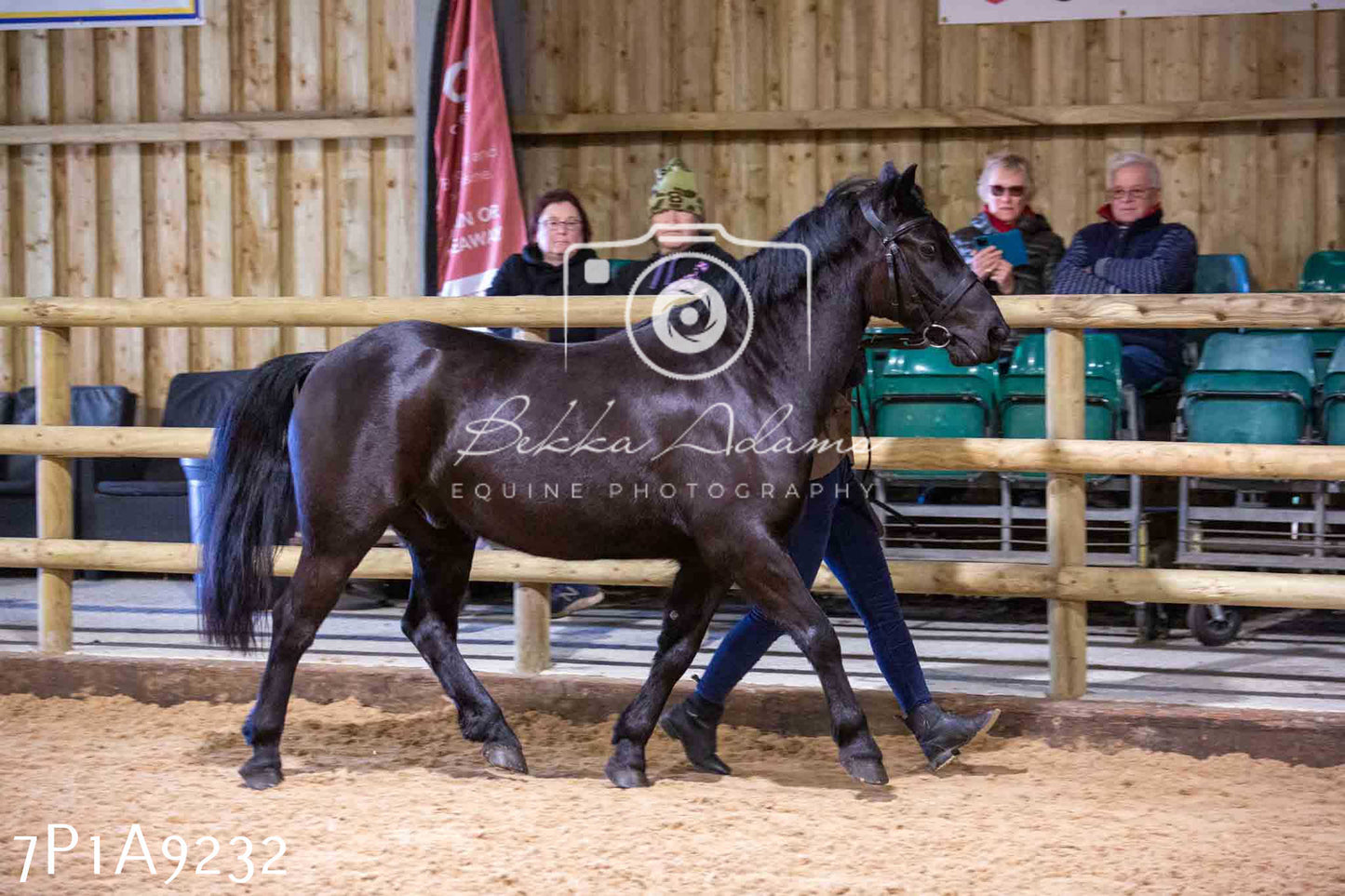 Home Farm Spring Show - Inhand Showing 23rd March 2024 - Part 1