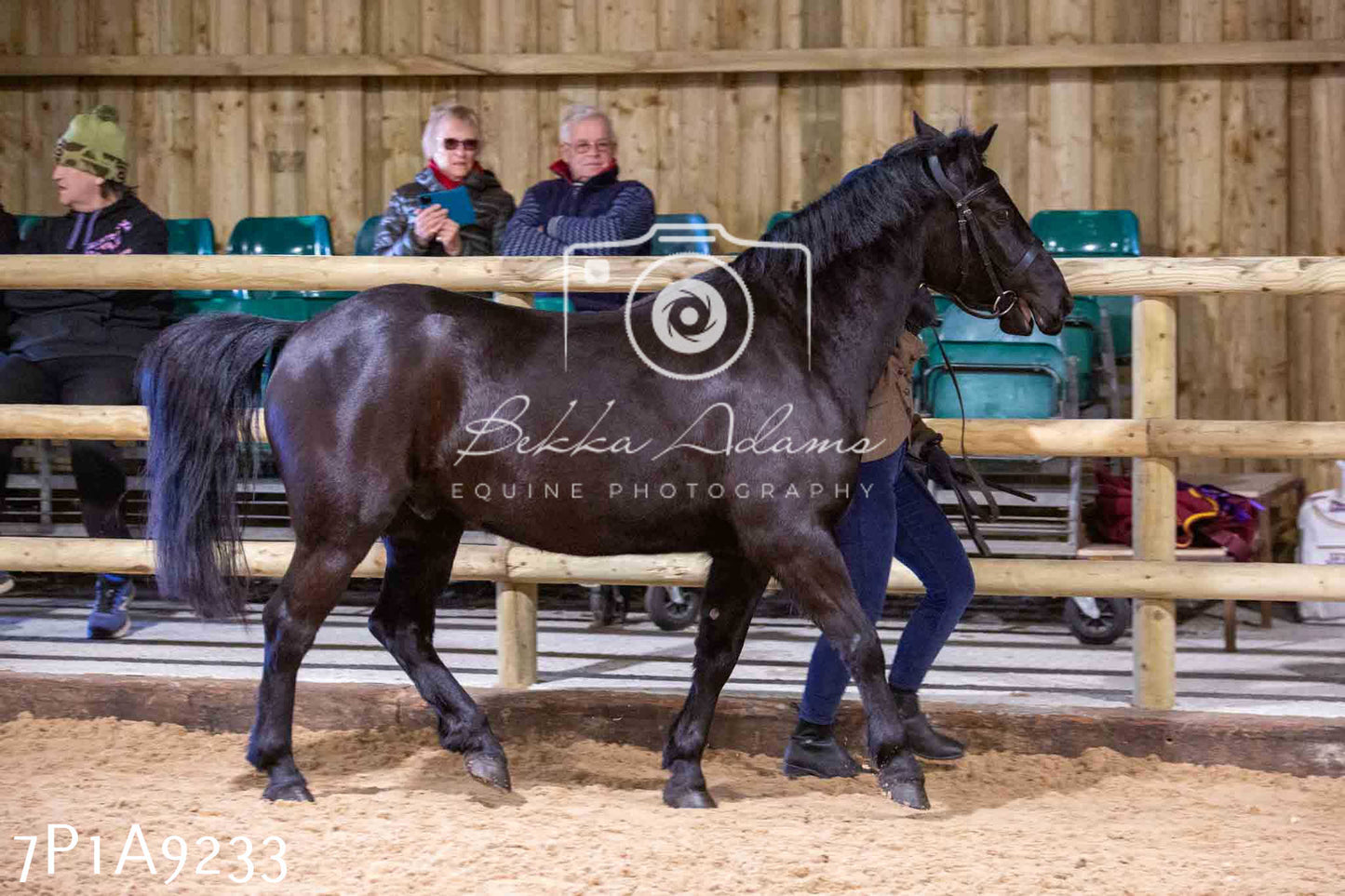 Home Farm Spring Show - Inhand Showing 23rd March 2024 - Part 1
