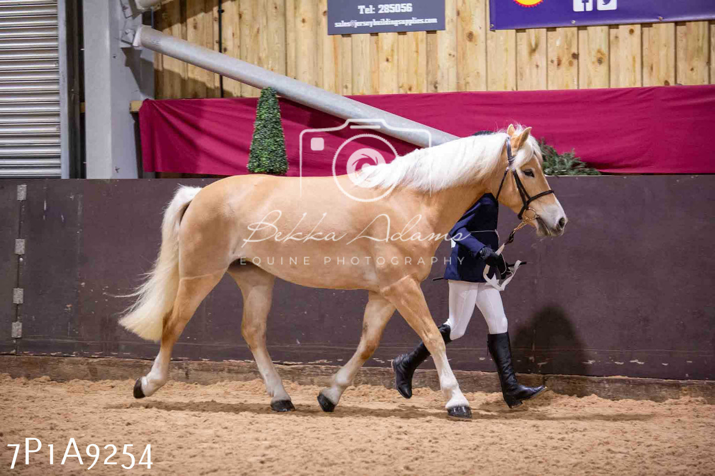 Home Farm Spring Show - Inhand Showing 23rd March 2024 - Part 1