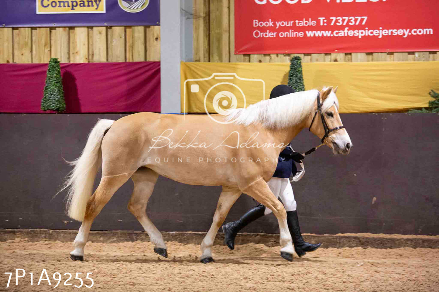 Home Farm Spring Show - Inhand Showing 23rd March 2024 - Part 1