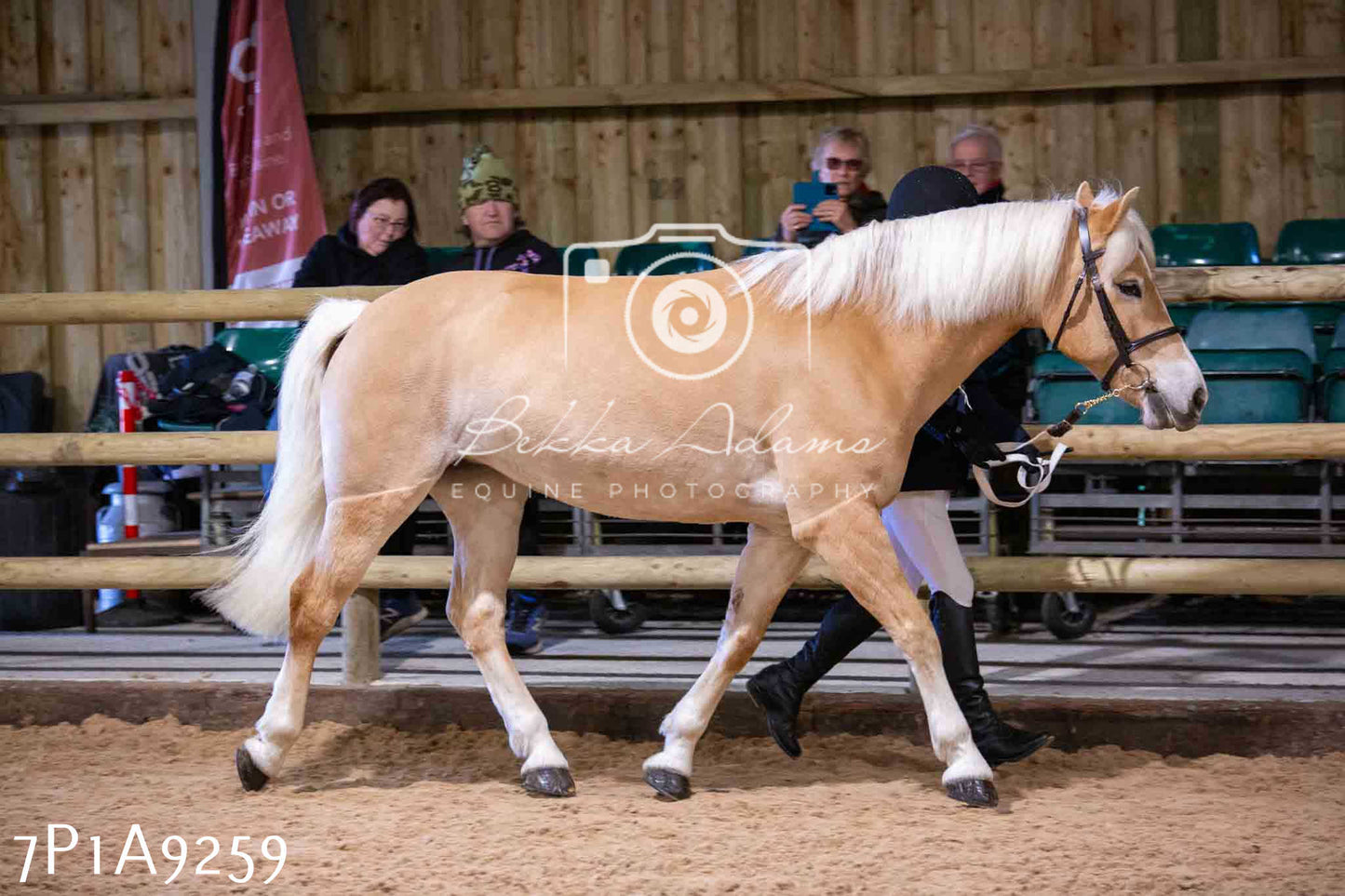 Home Farm Spring Show - Inhand Showing 23rd March 2024 - Part 1