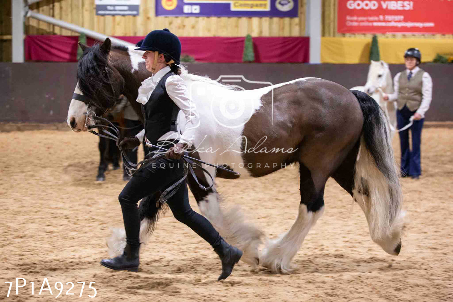 Home Farm Spring Show - Inhand Showing 23rd March 2024 - Part 1