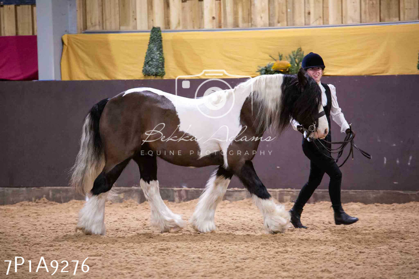 Home Farm Spring Show - Inhand Showing 23rd March 2024 - Part 1