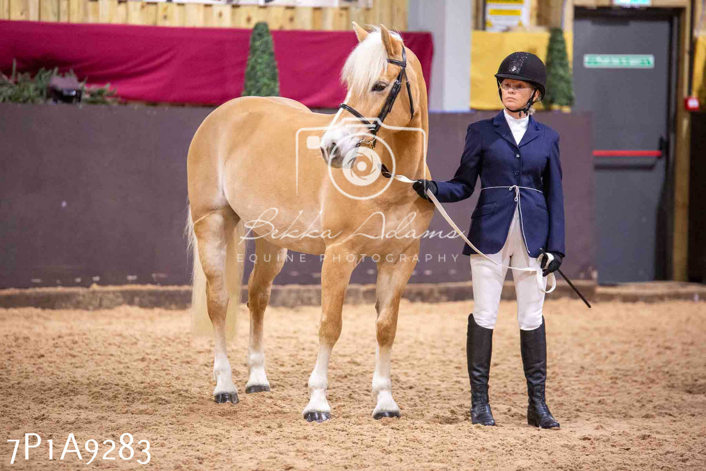 Home Farm Spring Show - Inhand Showing 23rd March 2024 - Part 1