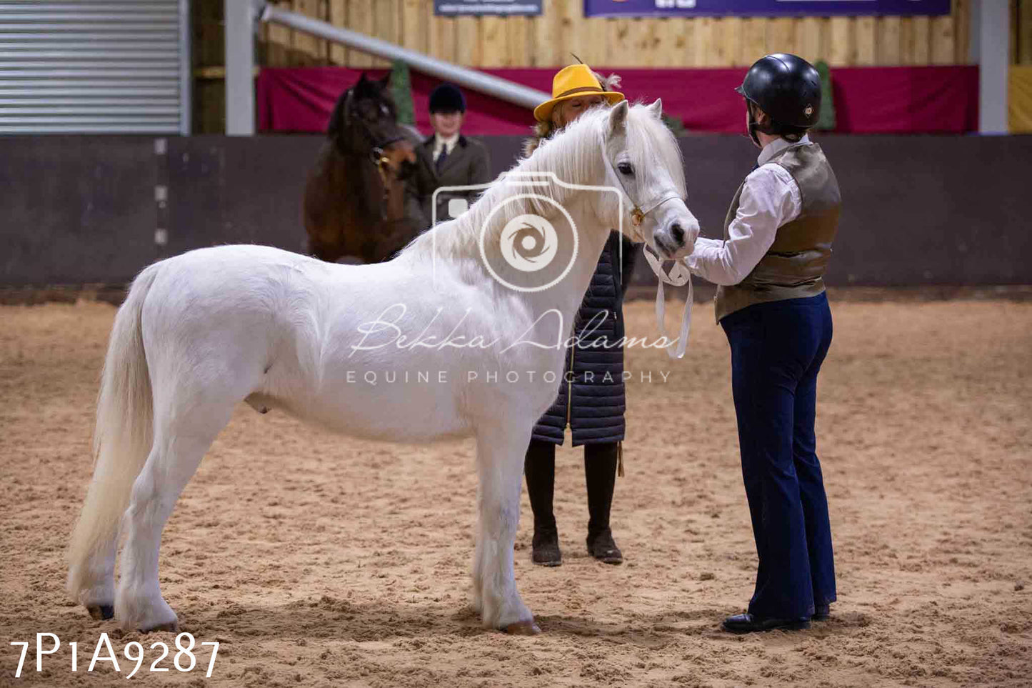 Home Farm Spring Show - Inhand Showing 23rd March 2024 - Part 1