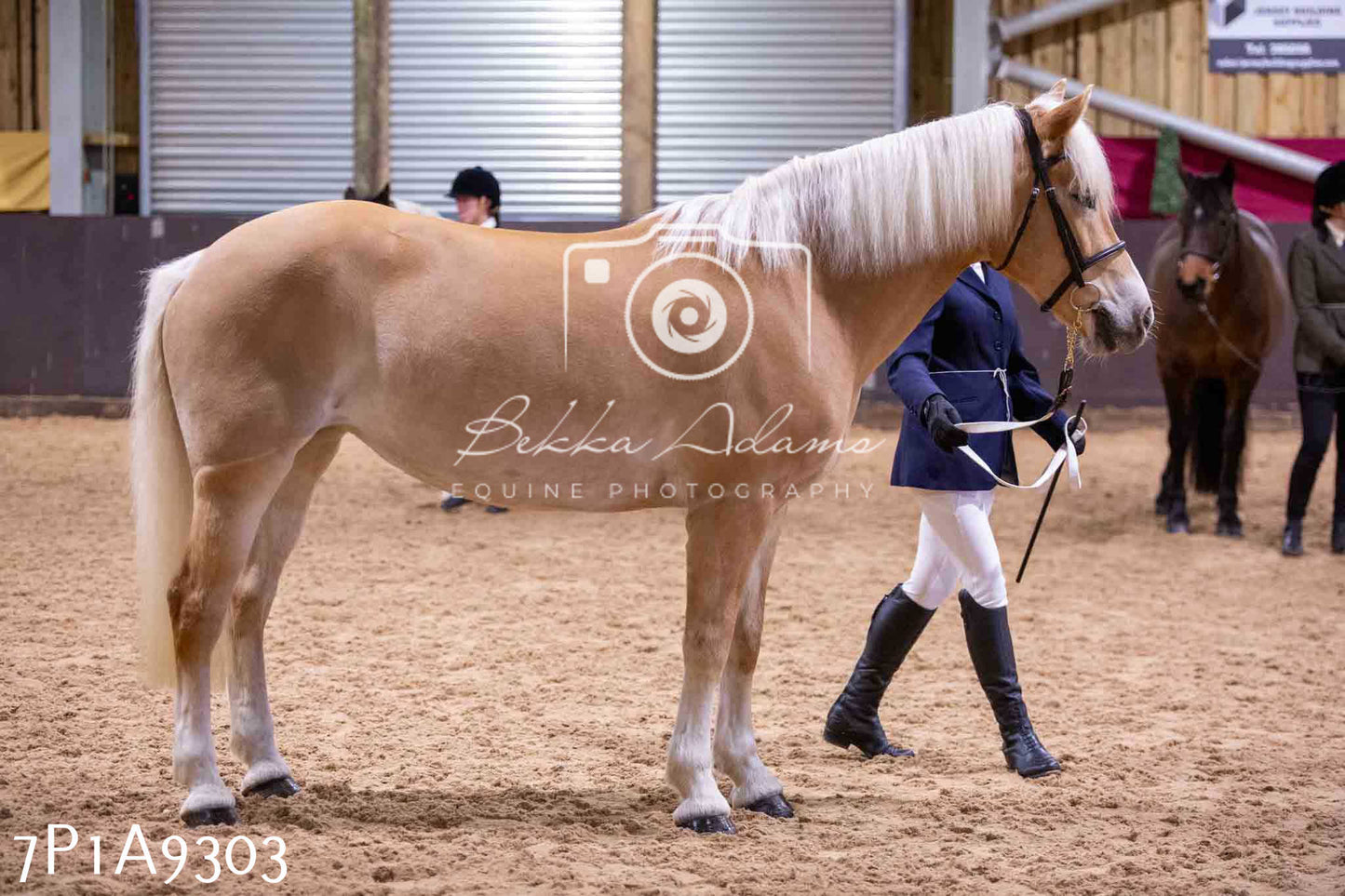 Home Farm Spring Show - Inhand Showing 23rd March 2024 - Part 1