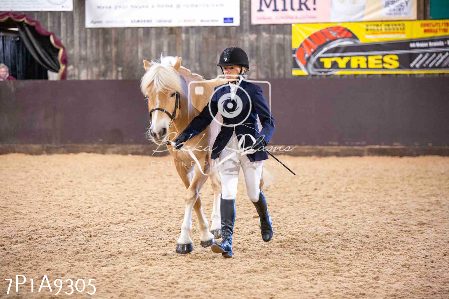 Home Farm Spring Show - Inhand Showing 23rd March 2024 - Part 1