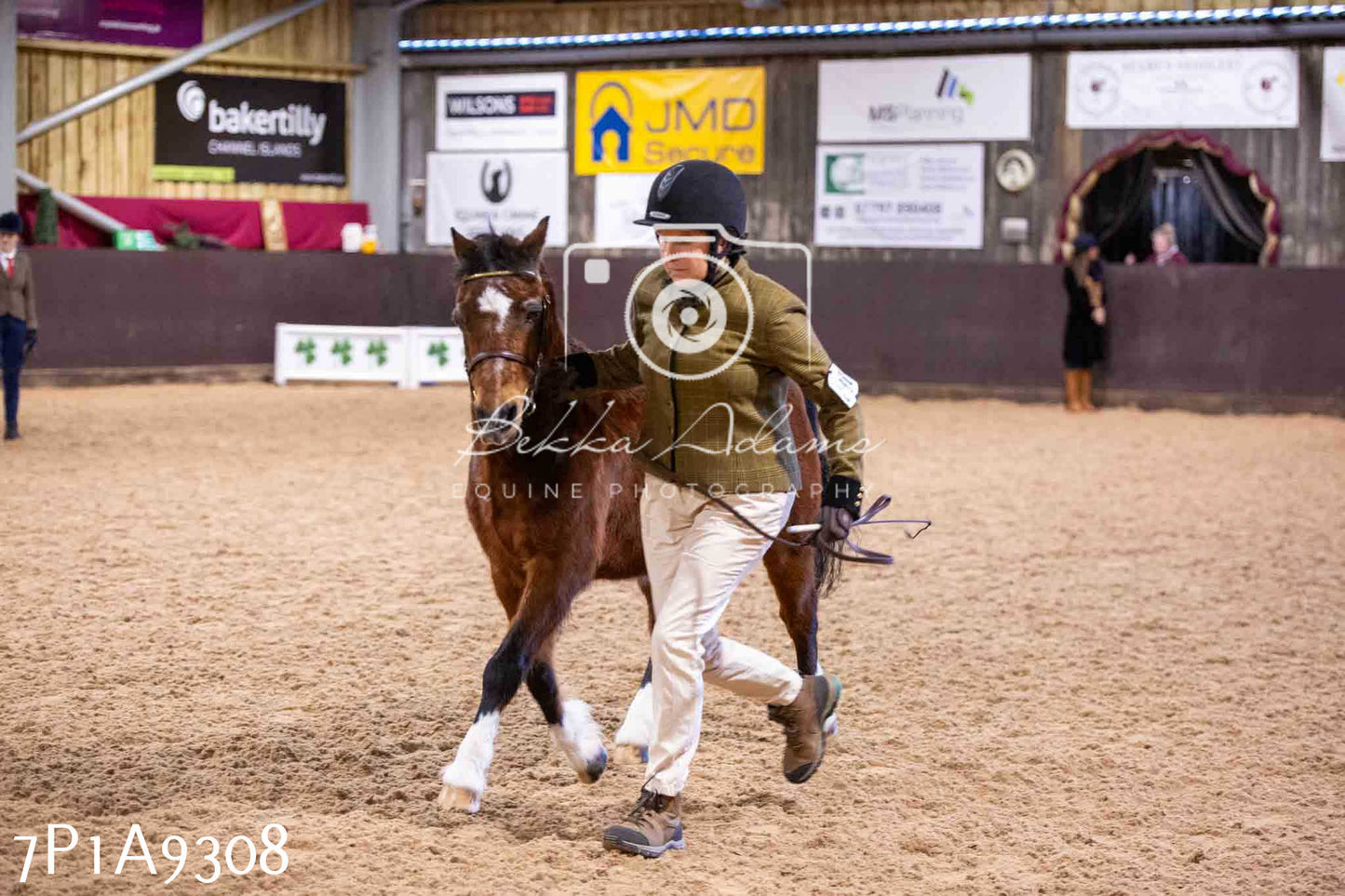 Home Farm Spring Show - Inhand Showing 23rd March 2024 - Part 1