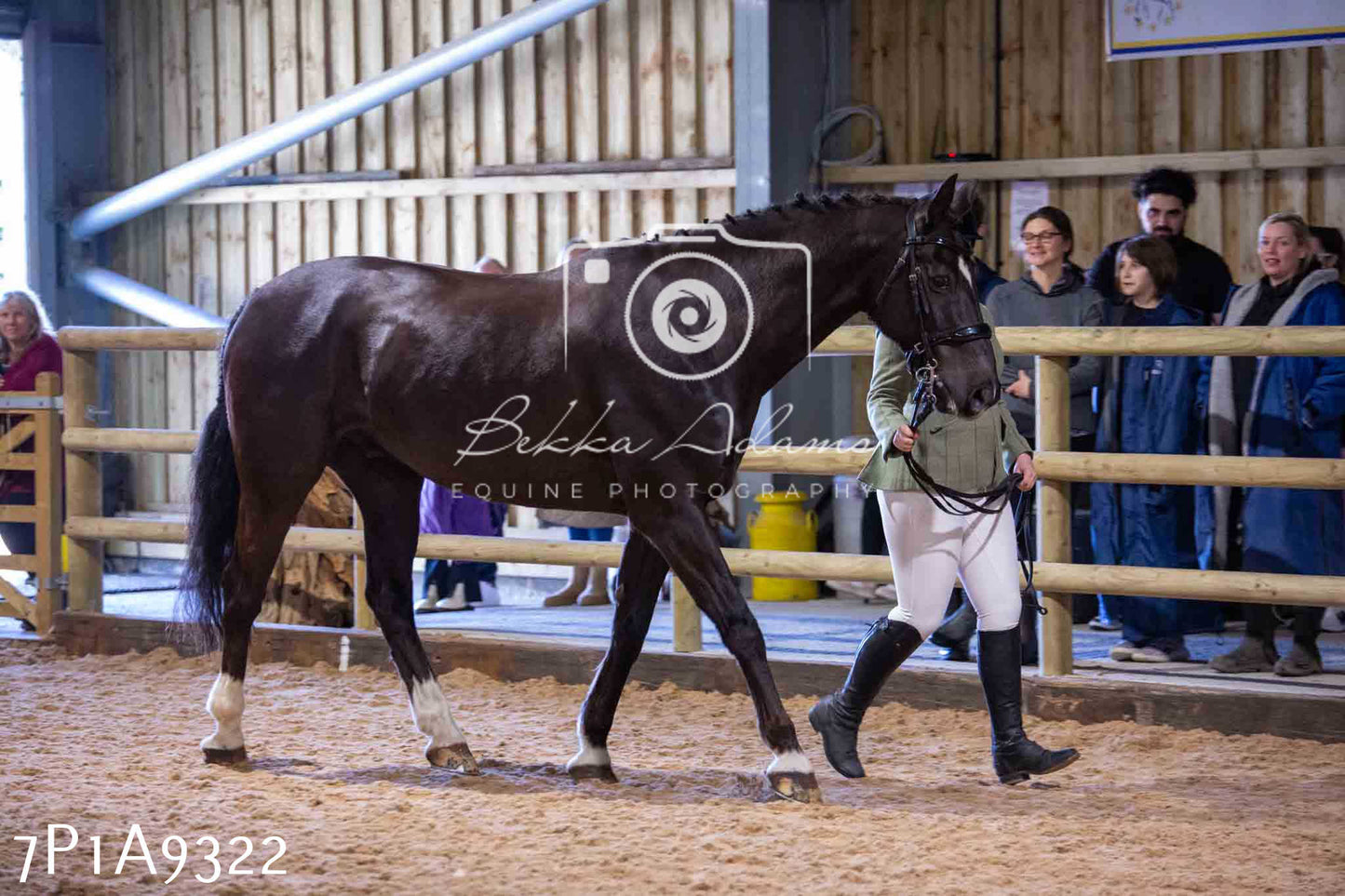 Home Farm Spring Show - Inhand Showing 23rd March 2024 - Part 1