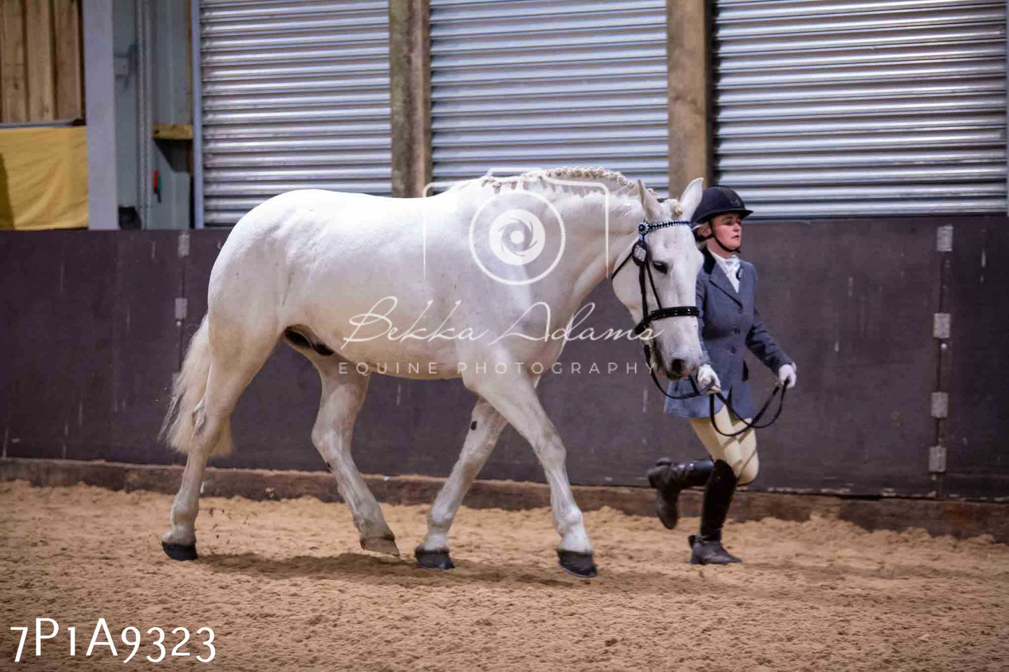 Home Farm Spring Show - Inhand Showing 23rd March 2024 - Part 1