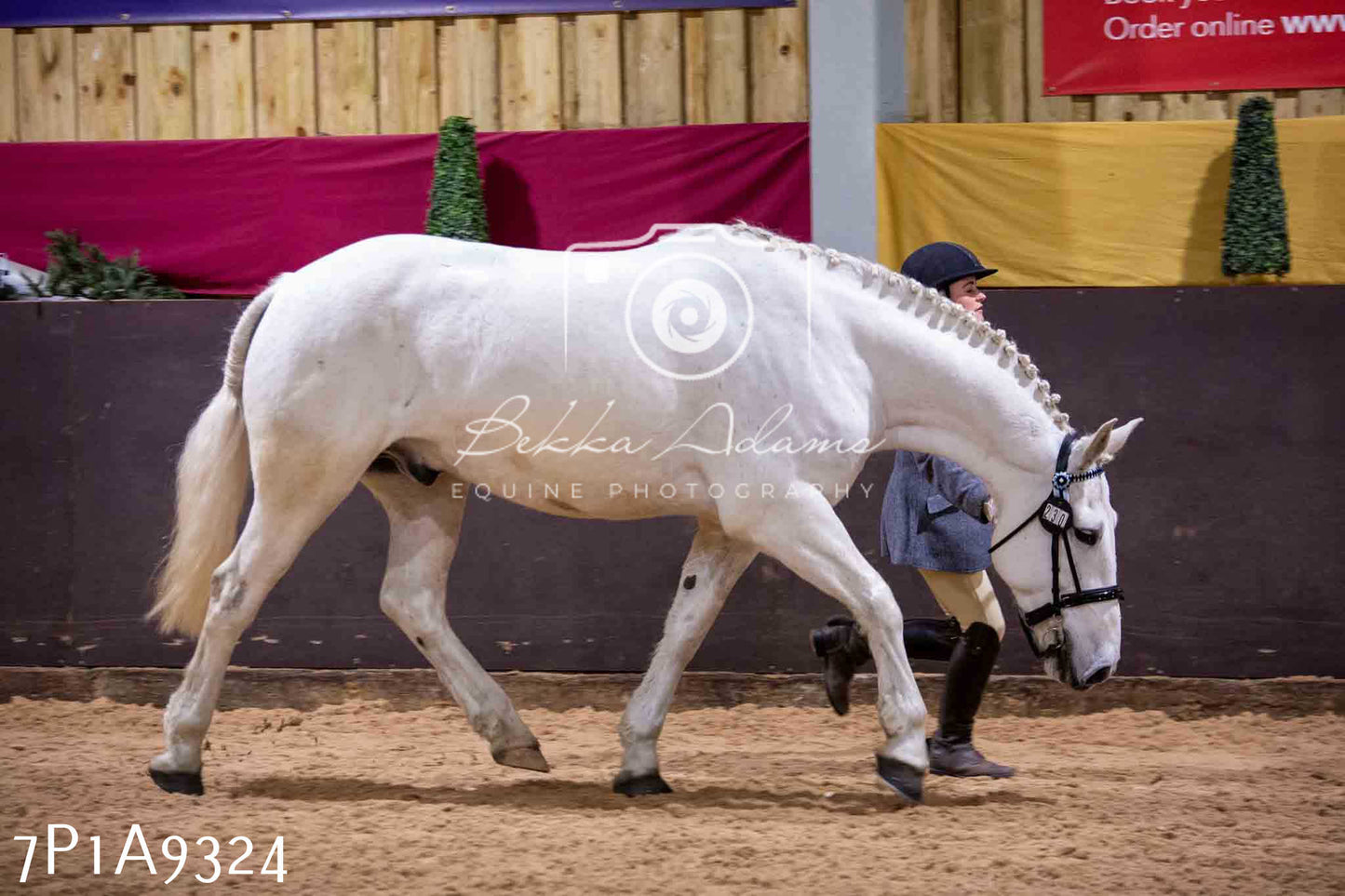 Home Farm Spring Show - Inhand Showing 23rd March 2024 - Part 1
