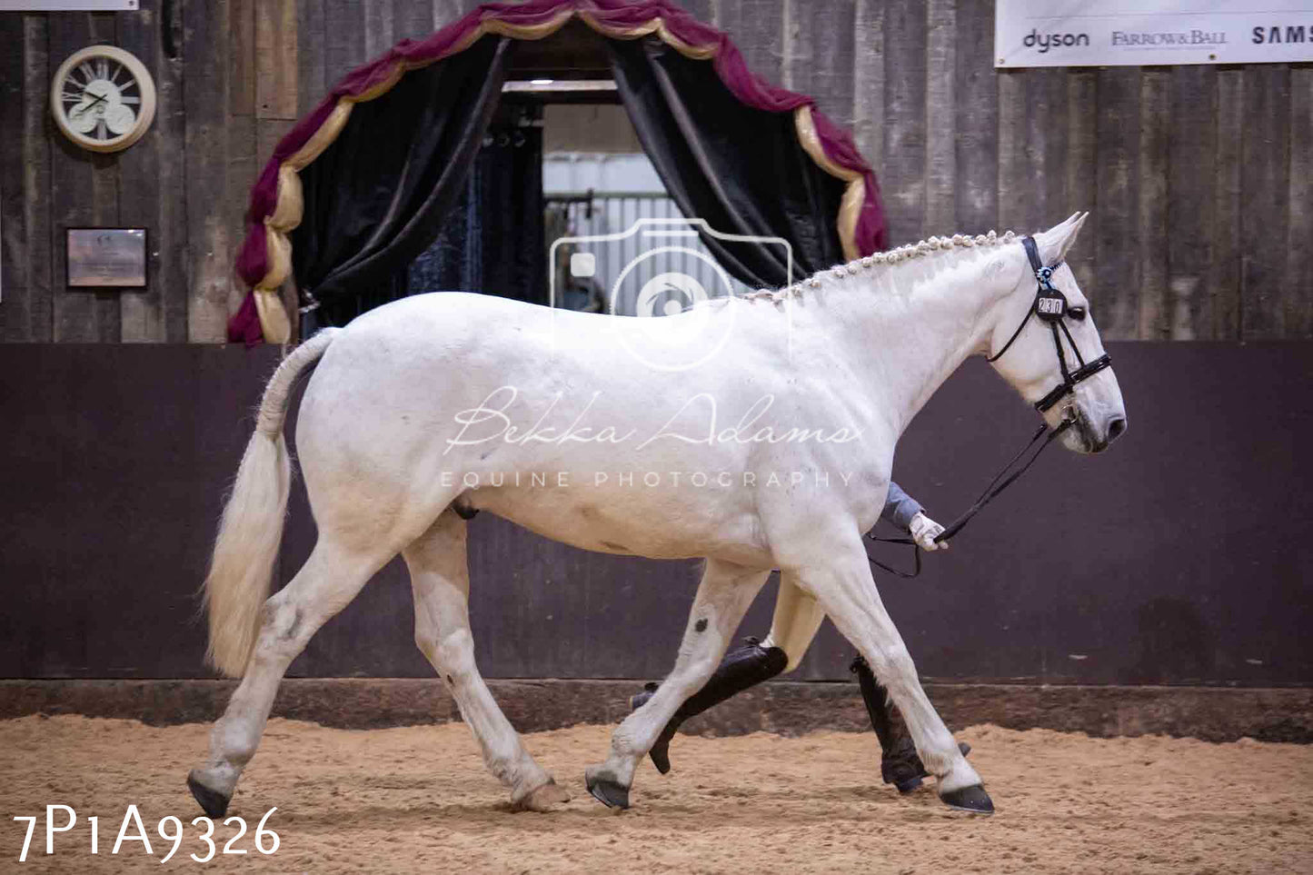 Home Farm Spring Show - Inhand Showing 23rd March 2024 - Part 1