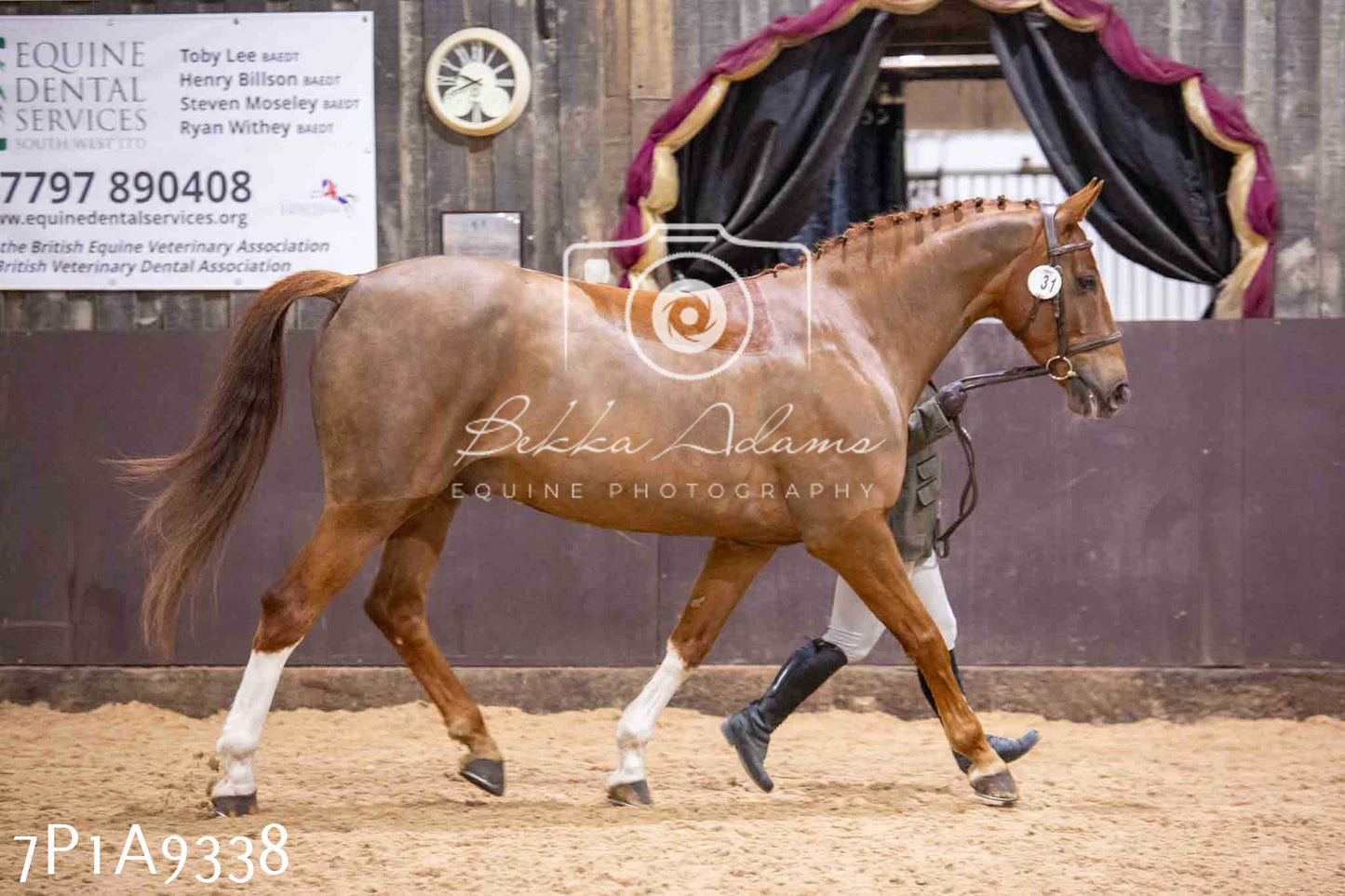 Home Farm Spring Show - Inhand Showing 23rd March 2024 - Part 1
