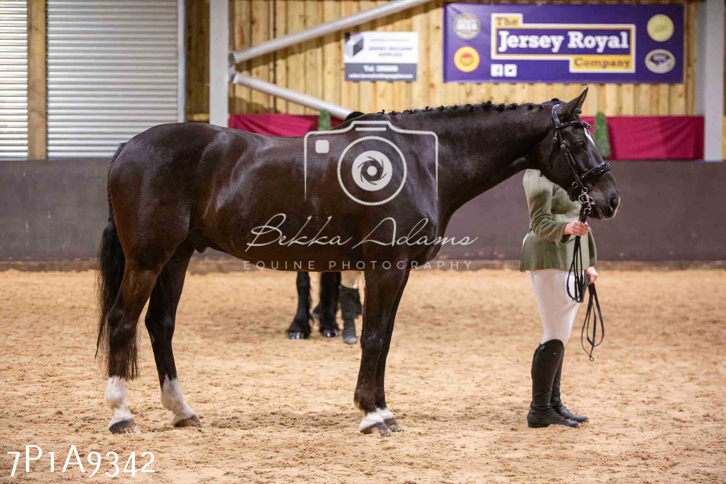 Home Farm Spring Show - Inhand Showing 23rd March 2024 - Part 1