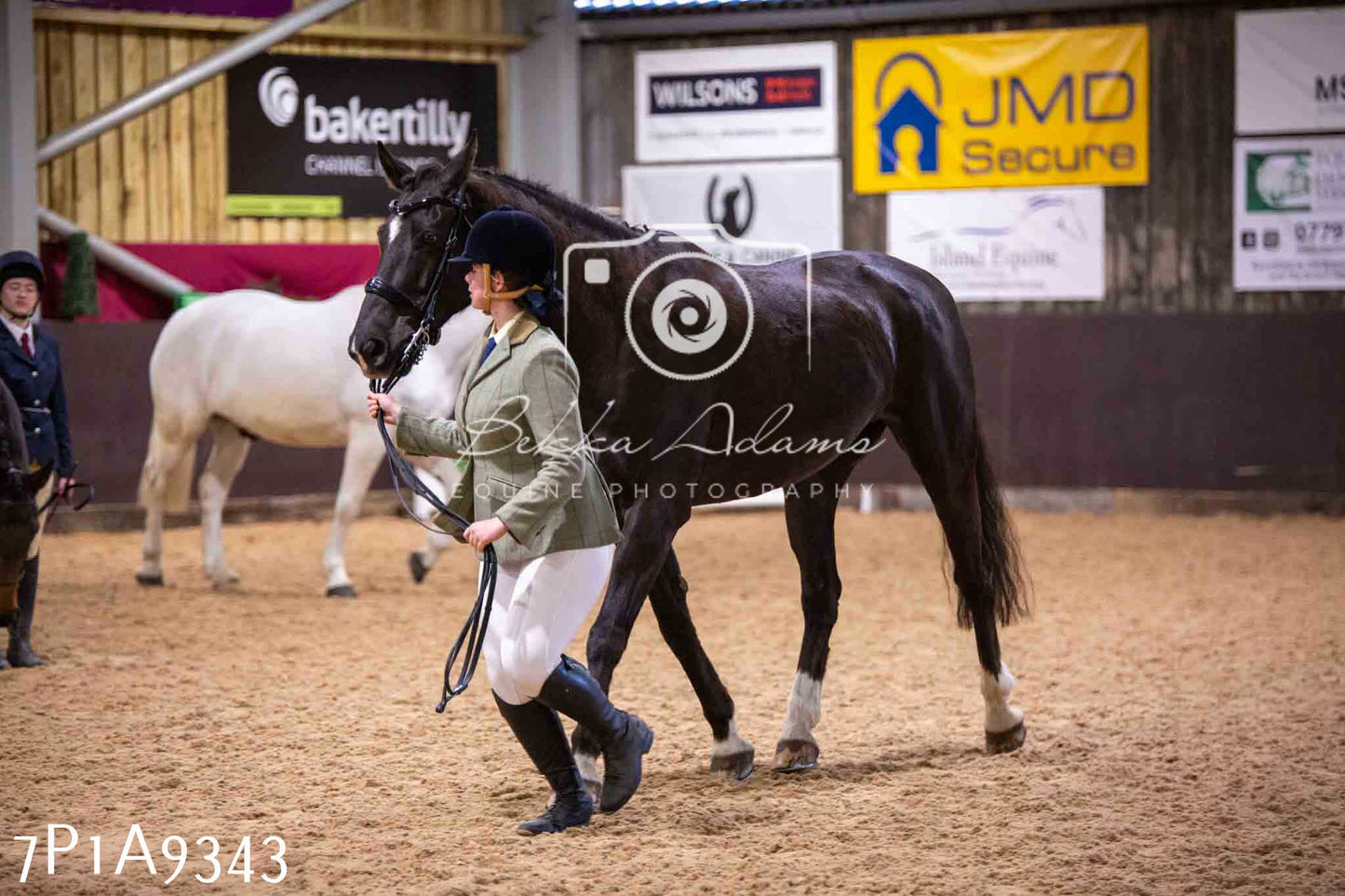 Home Farm Spring Show - Inhand Showing 23rd March 2024 - Part 1