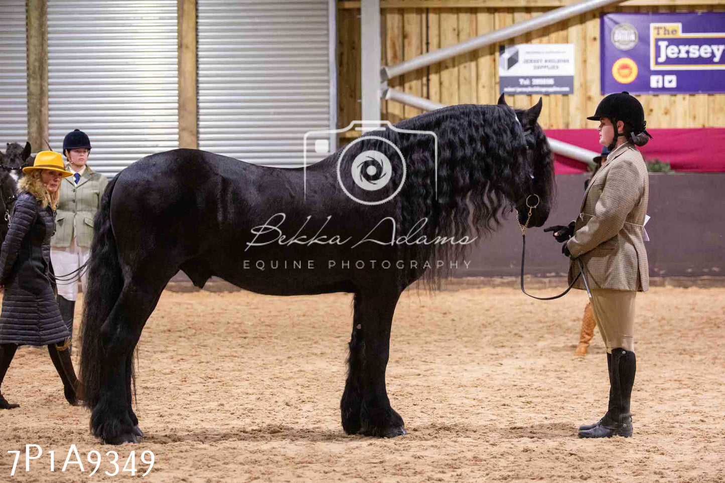 Home Farm Spring Show - Inhand Showing 23rd March 2024 - Part 1
