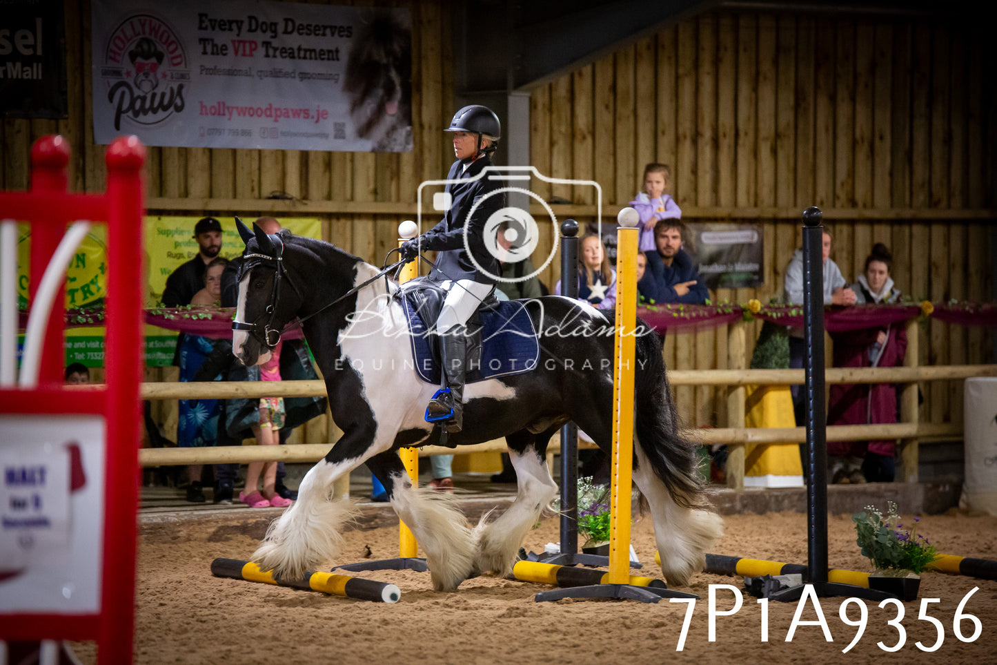 JHOYS 2025 - Senior Show Jumping - 21st September