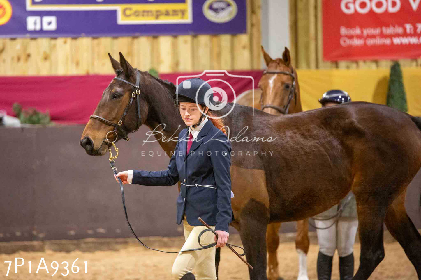 Home Farm Spring Show - Inhand Showing 23rd March 2024 - Part 1