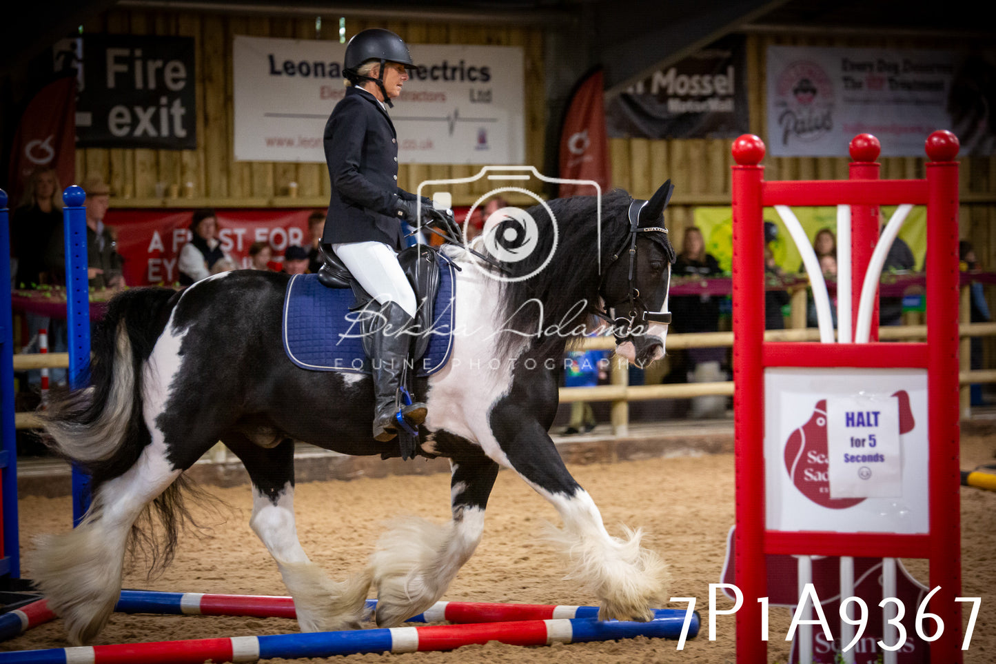 JHOYS 2025 - Senior Show Jumping - 21st September
