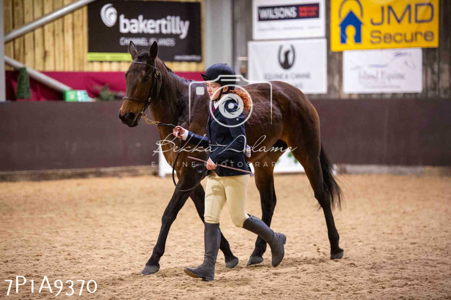 Home Farm Spring Show - Inhand Showing 23rd March 2024 - Part 1