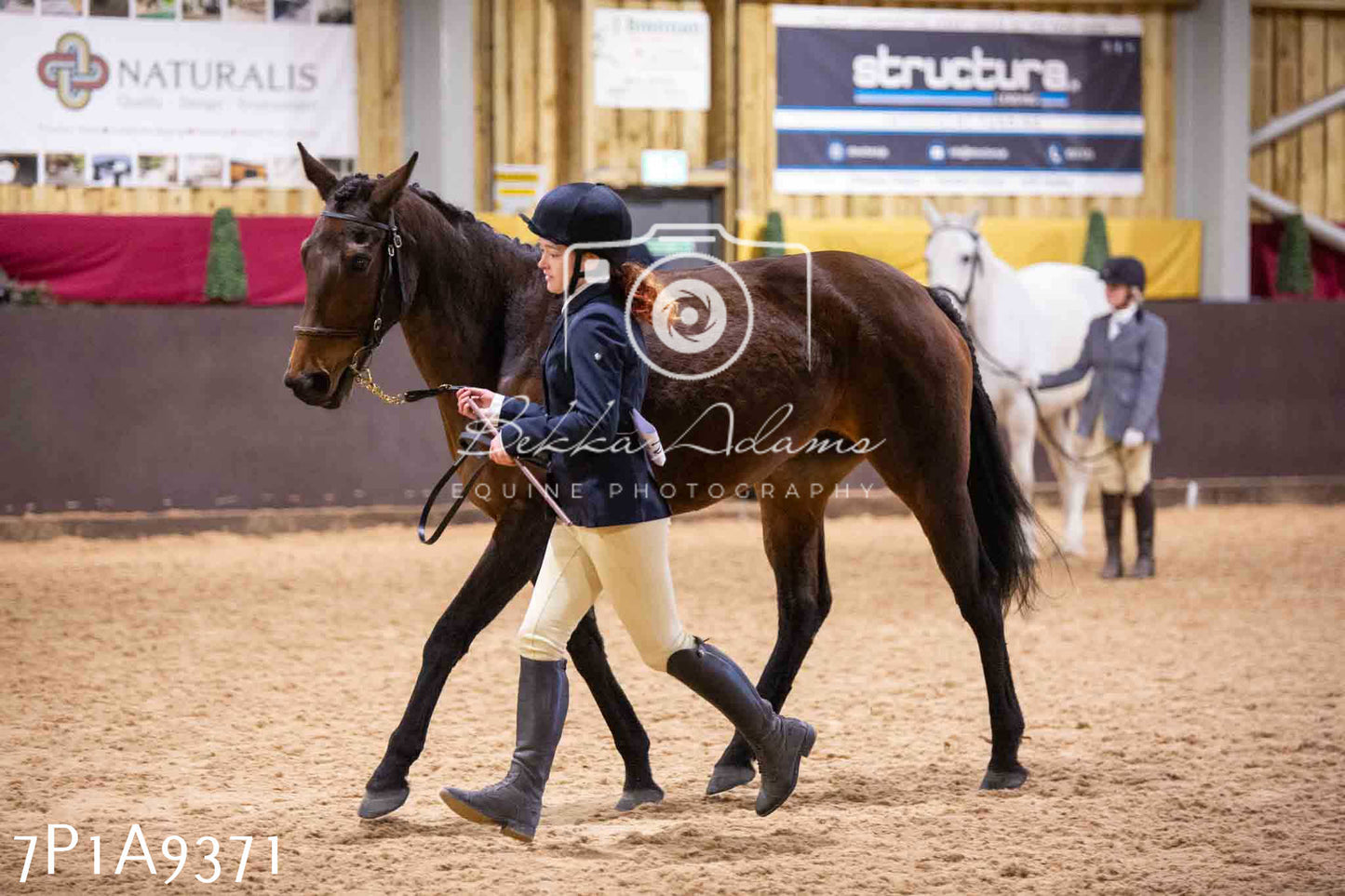 Home Farm Spring Show - Inhand Showing 23rd March 2024 - Part 1