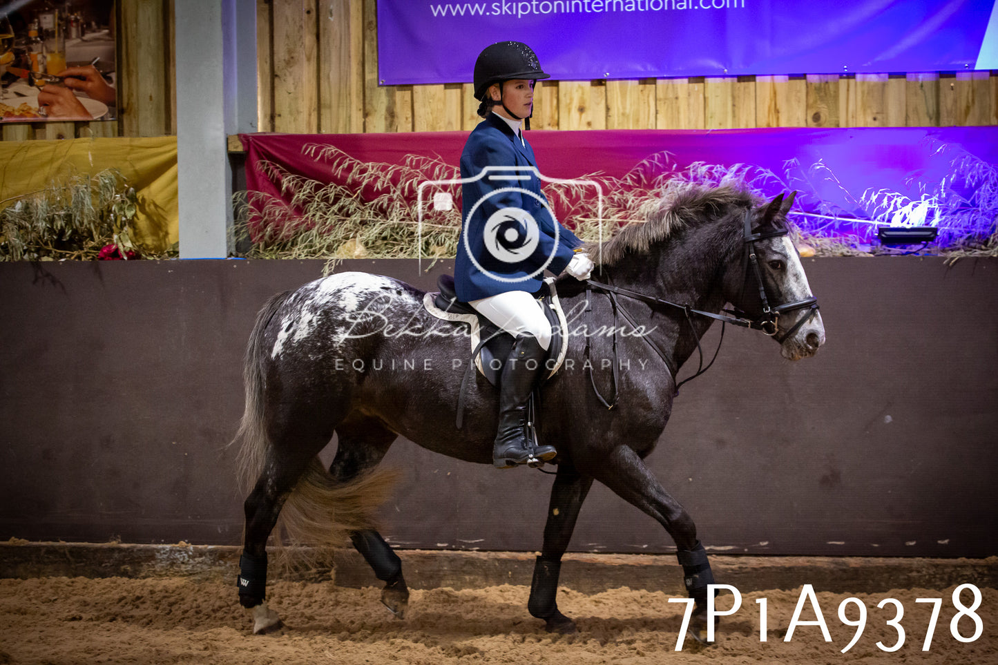 JHOYS 2025 - Senior Show Jumping - 21st September