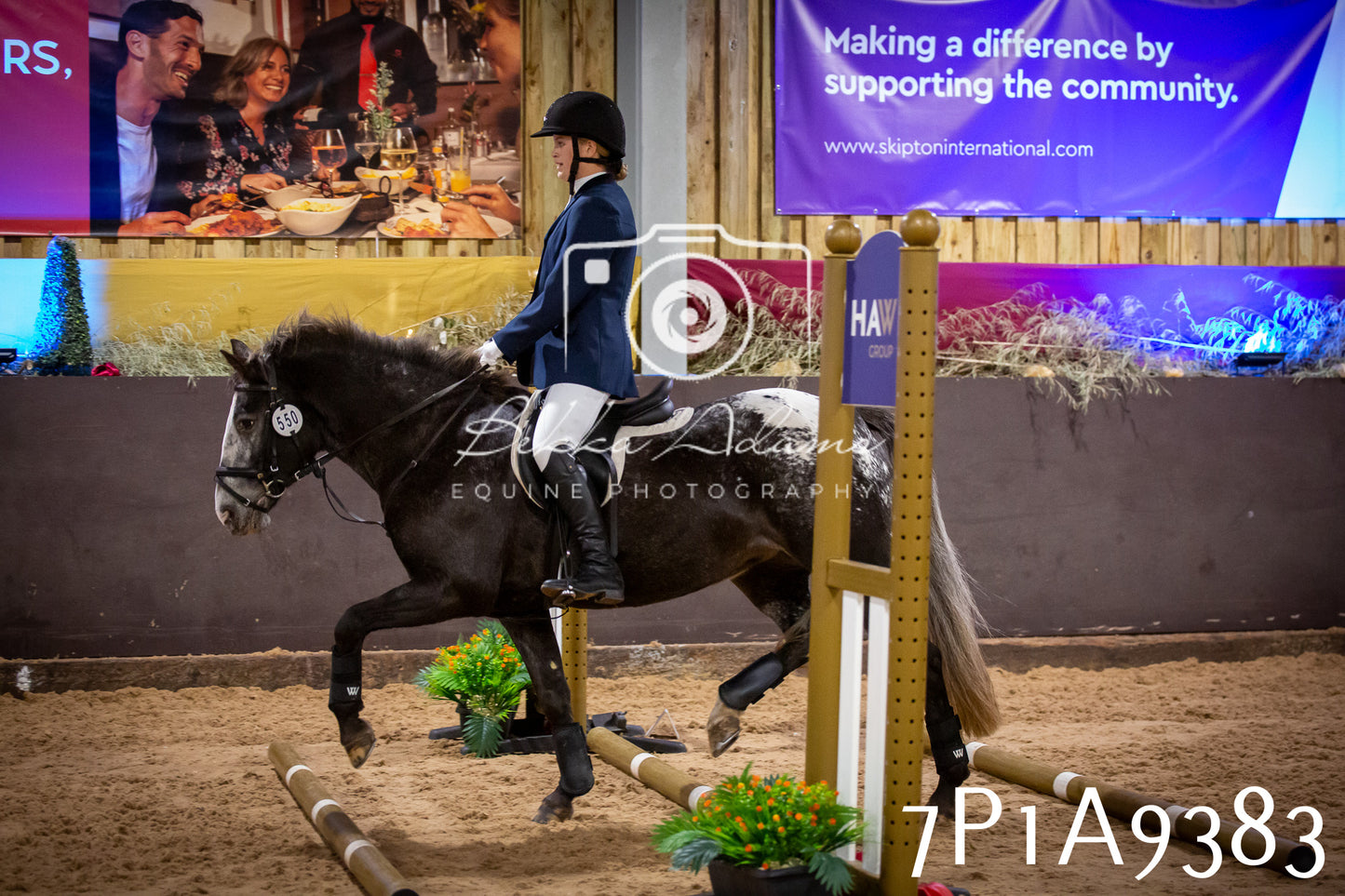 JHOYS 2025 - Senior Show Jumping - 21st September