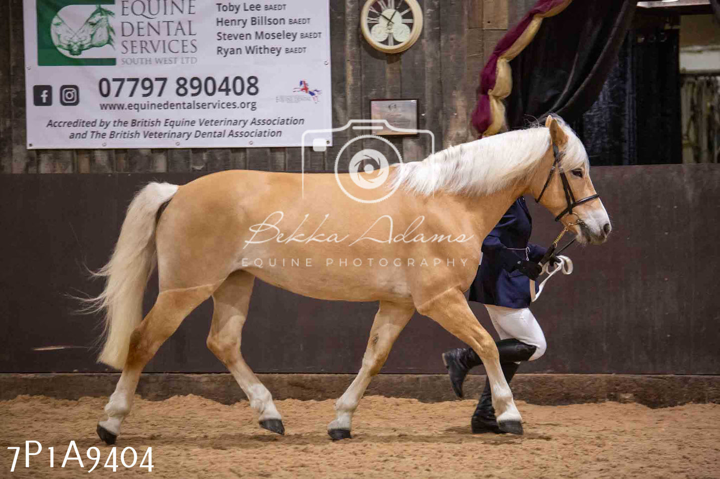 Home Farm Spring Show - Inhand Showing 23rd March 2024 - Part 1