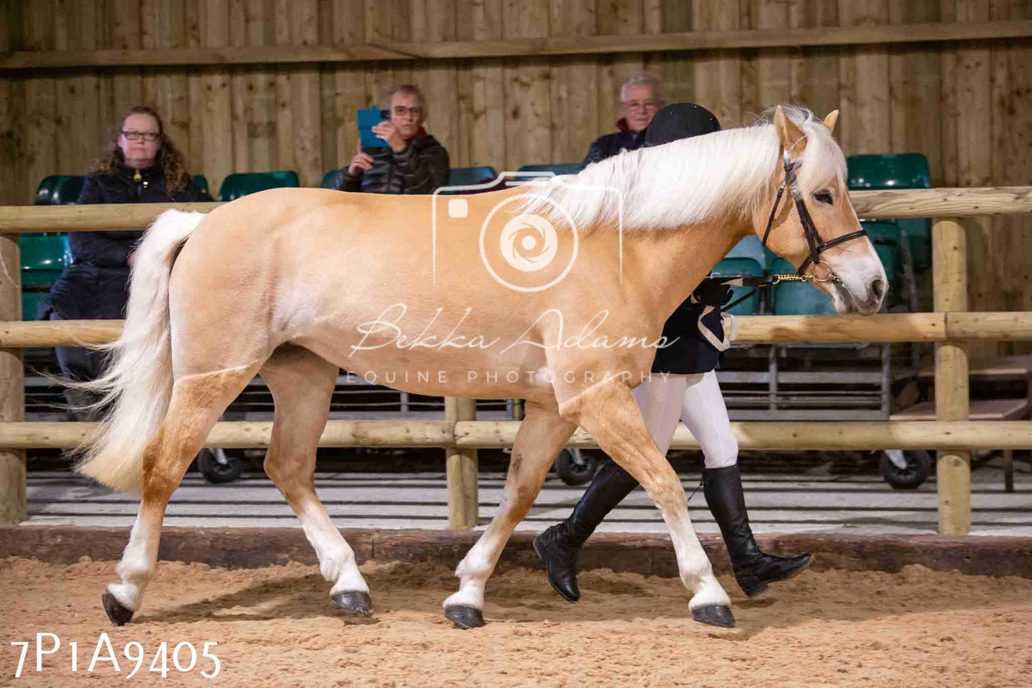 Home Farm Spring Show - Inhand Showing 23rd March 2024 - Part 1