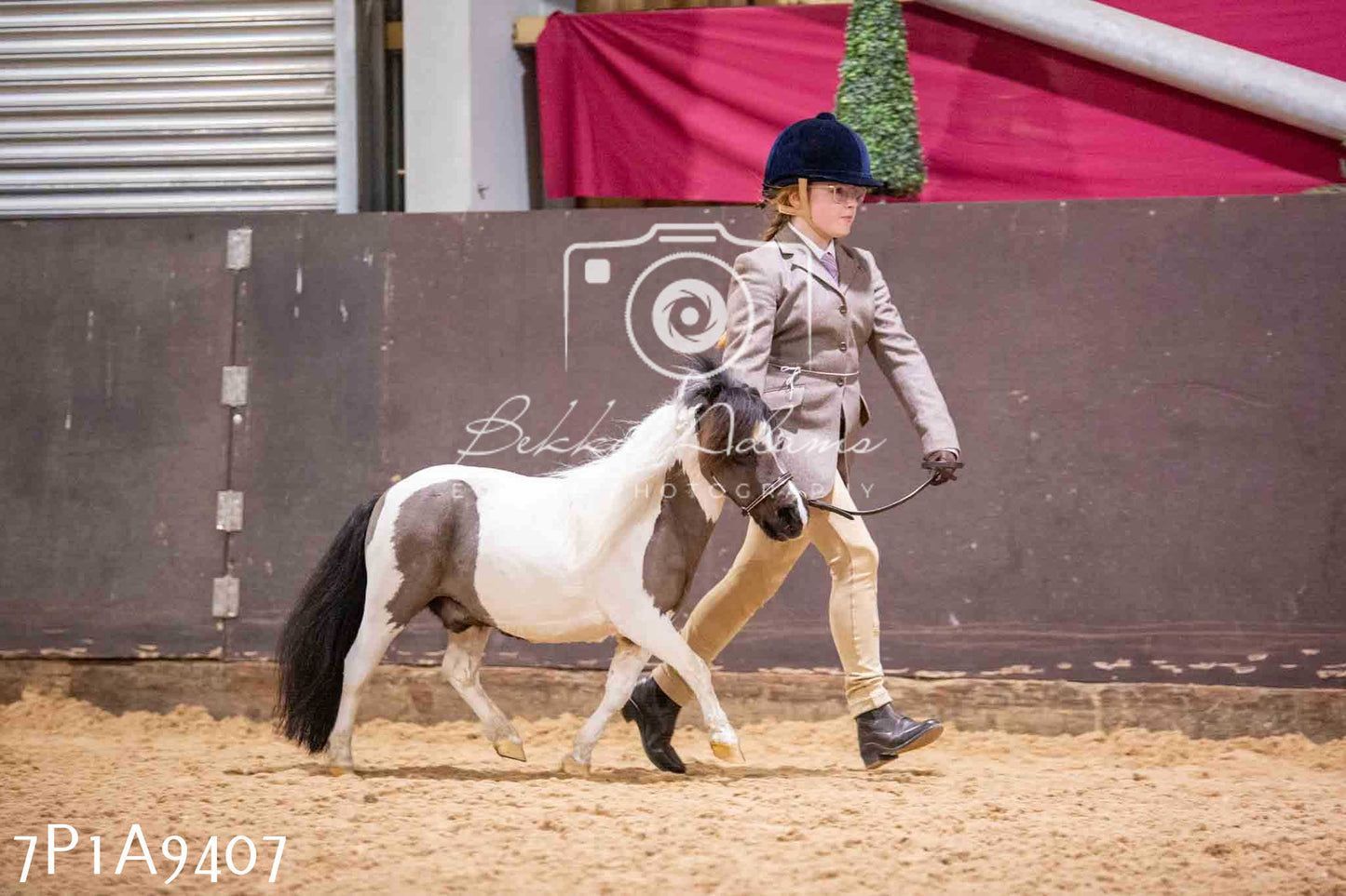 Home Farm Spring Show - Inhand Showing 23rd March 2024 - Part 1