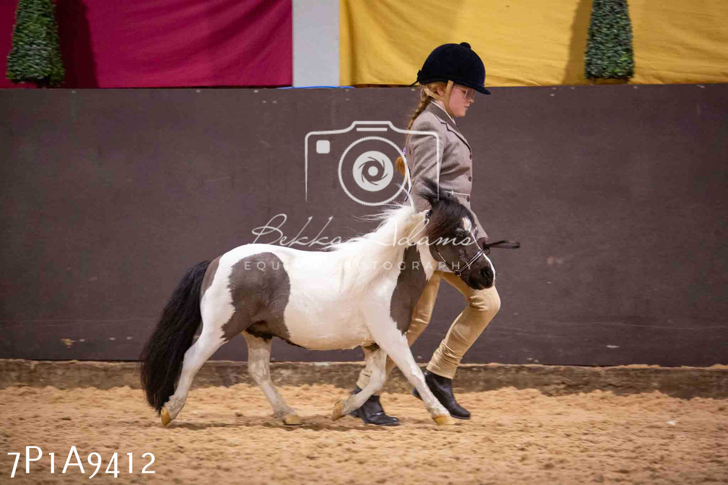 Home Farm Spring Show - Inhand Showing 23rd March 2024 - Part 1