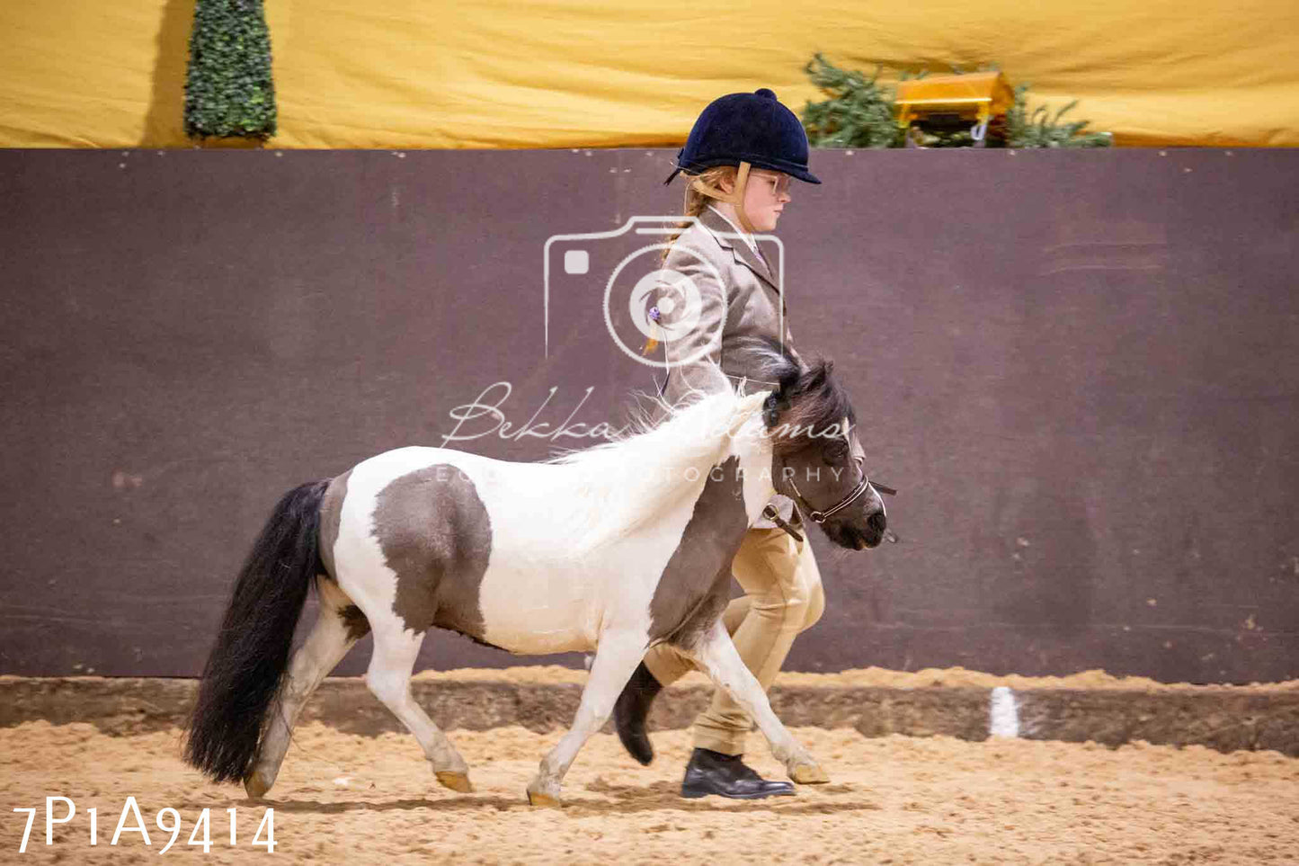 Home Farm Spring Show - Inhand Showing 23rd March 2024 - Part 1
