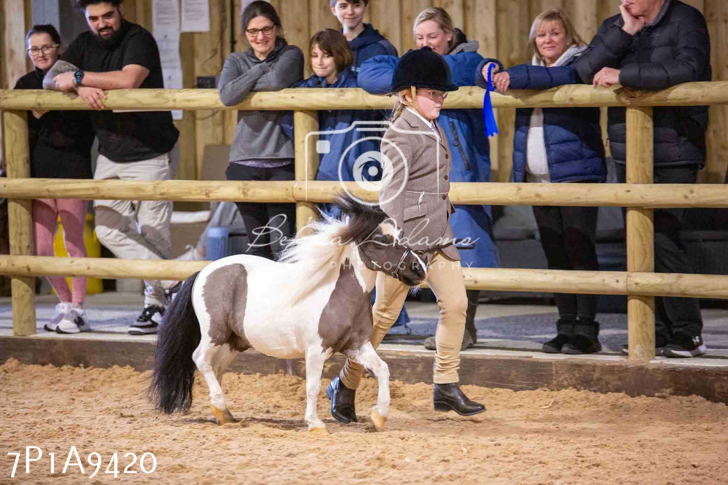Home Farm Spring Show - Inhand Showing 23rd March 2024 - Part 1